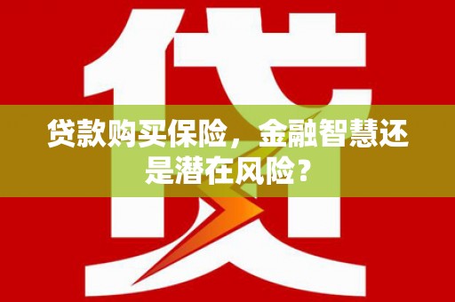 阿巴嘎旗贷款购买保险，金融智慧还是潜在风险？