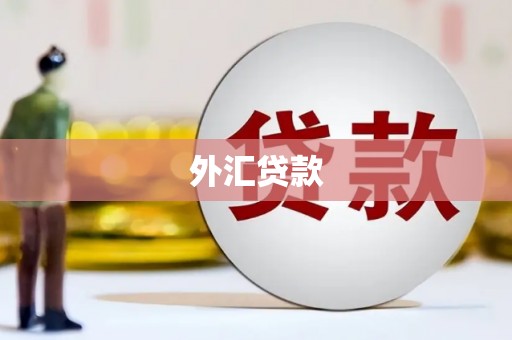 阿巴嘎旗外汇贷款