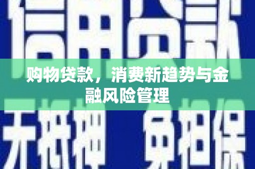 阿巴嘎旗购物贷款，消费新趋势与金融风险管理