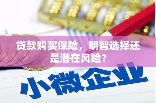 阿巴嘎旗贷款购买保险，明智选择还是潜在风险？
