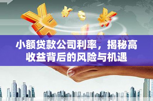 阿巴嘎旗小额贷款公司利率，揭秘高收益背后的风险与机遇