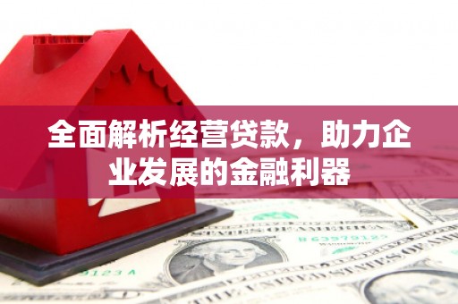 阿巴嘎旗全面解析经营贷款，助力企业发展的金融利器