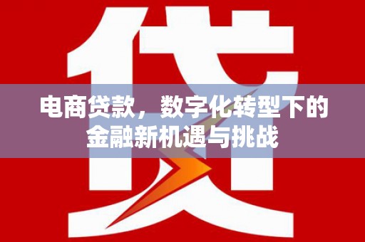 阿巴嘎旗电商贷款，数字化转型下的金融新机遇与挑战