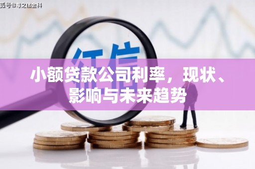阿巴嘎旗小额贷款公司利率，现状、影响与未来趋势