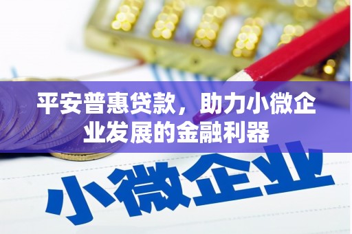 阿巴嘎旗平安普惠贷款，助力小微企业发展的金融利器