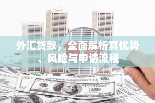 阿巴嘎旗外汇贷款，全面解析其优势、风险与申请流程