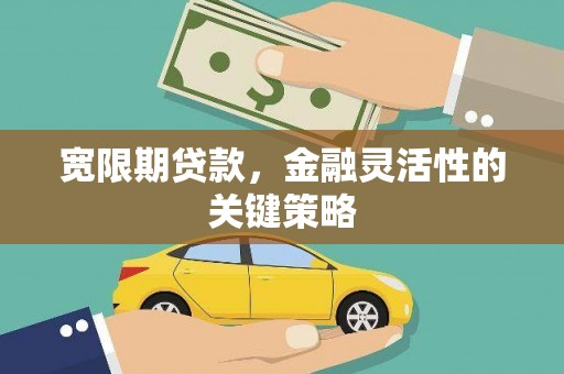 阿巴嘎旗宽限期贷款，金融灵活性的关键策略