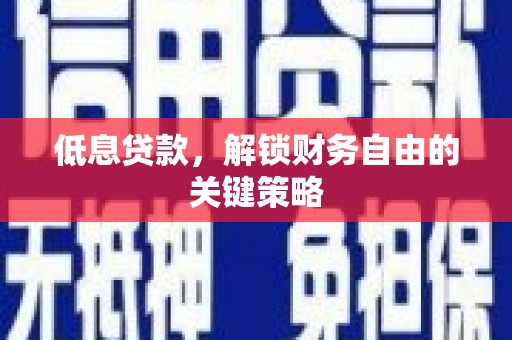 阿巴嘎旗低息贷款，解锁财务自由的关键策略