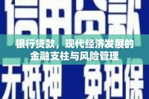 阿巴嘎旗银行贷款，现代经济发展的金融支柱与风险管理
