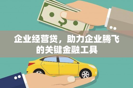 阿巴嘎旗企业经营贷，助力企业腾飞的关键金融工具