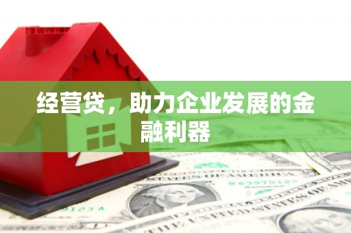 阿巴嘎旗经营贷，助力企业发展的金融利器
