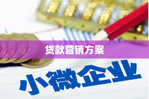 阿巴嘎旗贷款营销方案