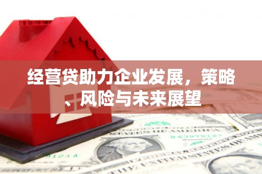 阿巴嘎旗经营贷助力企业发展，策略、风险与未来展望