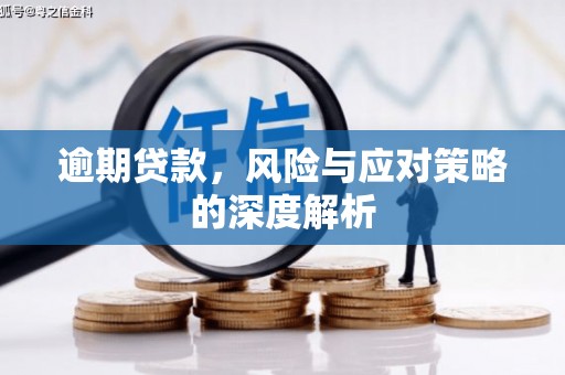 阿巴嘎旗逾期贷款，风险与应对策略的深度解析
