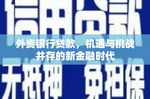 阿巴嘎旗外资银行贷款，机遇与挑战并存的新金融时代