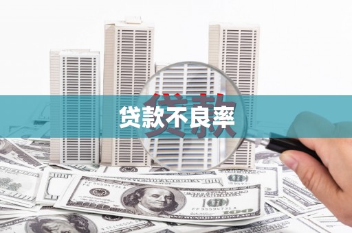 阿巴嘎旗贷款不良率