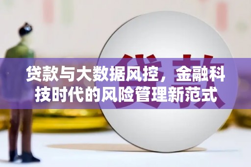 阿巴嘎旗贷款与大数据风控，金融科技时代的风险管理新范式