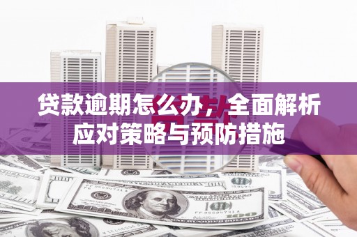 阿巴嘎旗贷款逾期怎么办，全面解析应对策略与预防措施