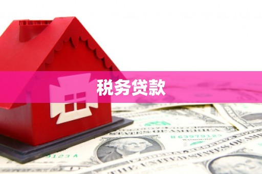 阿巴嘎旗税务贷款