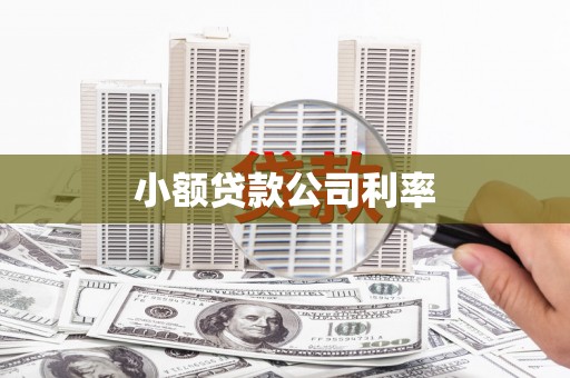 阿巴嘎旗小额贷款公司利率