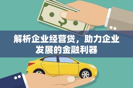 阿巴嘎旗解析企业经营贷，助力企业发展的金融利器