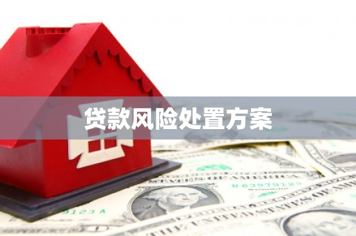阿巴嘎旗贷款风险处置方案