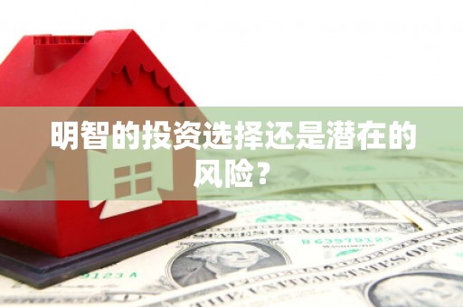 阿巴嘎旗明智的投资选择还是潜在的风险？