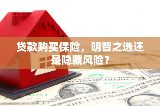 阿巴嘎旗贷款购买保险，明智之选还是隐藏风险？