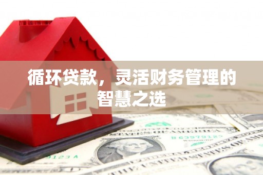 阿巴嘎旗循环贷款，灵活财务管理的智慧之选