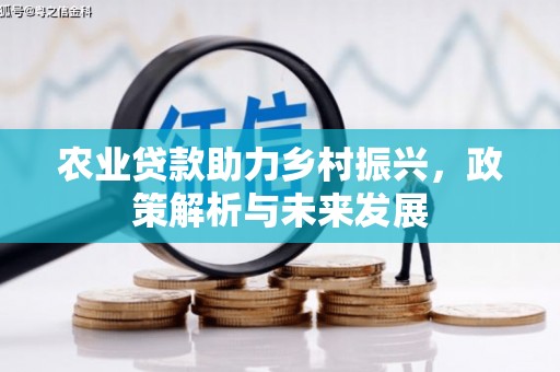 阿巴嘎旗农业贷款助力乡村振兴，政策解析与未来发展
