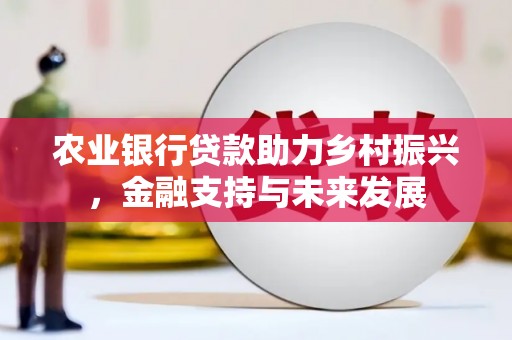 阿巴嘎旗农业银行贷款助力乡村振兴，金融支持与未来发展