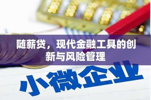 阿巴嘎旗随薪贷，现代金融工具的创新与风险管理