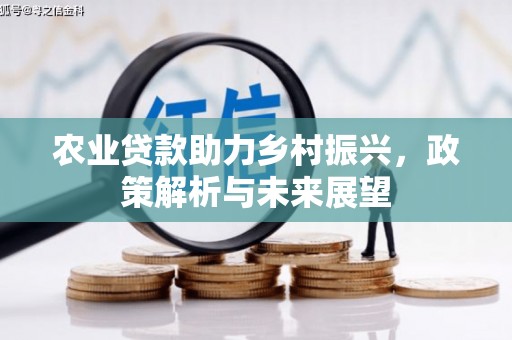 阿巴嘎旗农业贷款助力乡村振兴，政策解析与未来展望
