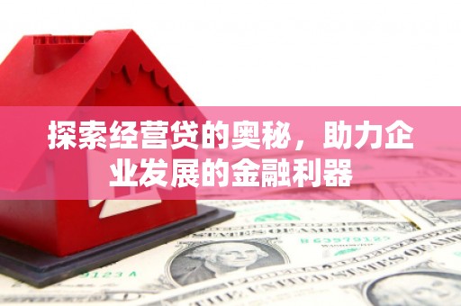 阿巴嘎旗探索经营贷的奥秘，助力企业发展的金融利器