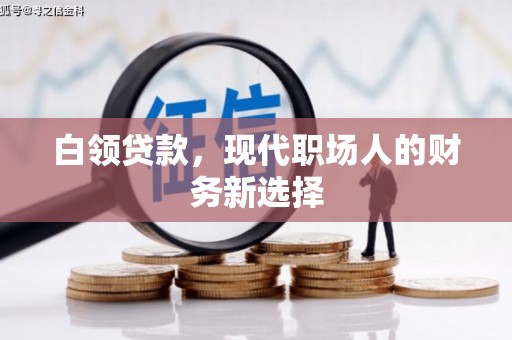 阿巴嘎旗白领贷款，现代职场人的财务新选择