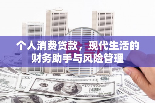 阿巴嘎旗个人消费贷款，现代生活的财务助手与风险管理