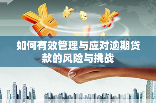 阿巴嘎旗如何有效管理与应对逾期贷款的风险与挑战
