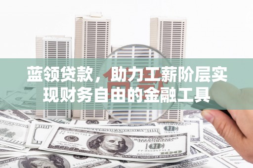 阿巴嘎旗蓝领贷款，助力工薪阶层实现财务自由的金融工具