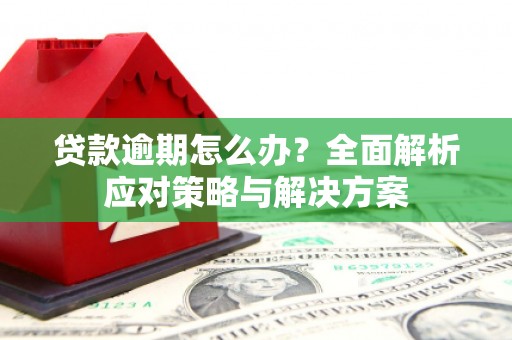 阿巴嘎旗贷款逾期怎么办？全面解析应对策略与解决方案