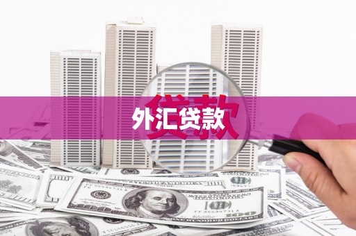 阿巴嘎旗外汇贷款