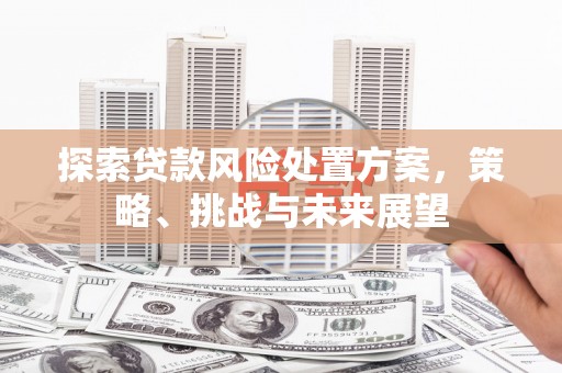 阿巴嘎旗探索贷款风险处置方案，策略、挑战与未来展望