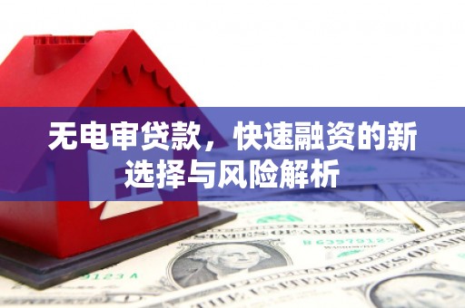 阿巴嘎旗无电审贷款，快速融资的新选择与风险解析