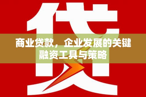 阿巴嘎旗商业贷款，企业发展的关键融资工具与策略