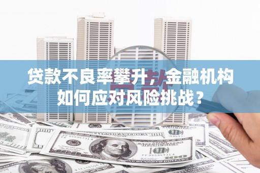 阿巴嘎旗贷款不良率攀升，金融机构如何应对风险挑战？