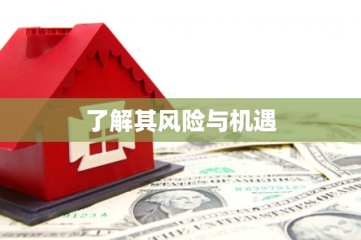 阿巴嘎旗了解其风险与机遇