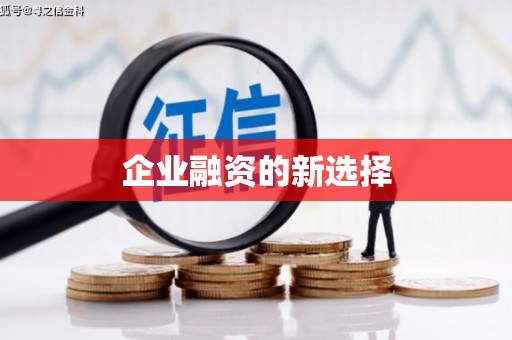 阿巴嘎旗企业融资的新选择