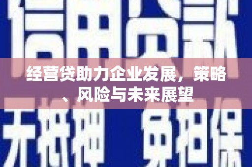 阿巴嘎旗经营贷助力企业发展，策略、风险与未来展望