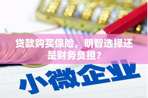 阿巴嘎旗贷款购买保险，明智选择还是财务负担？
