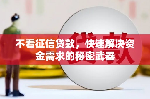 阿巴嘎旗不看征信贷款，快速解决资金需求的秘密武器
