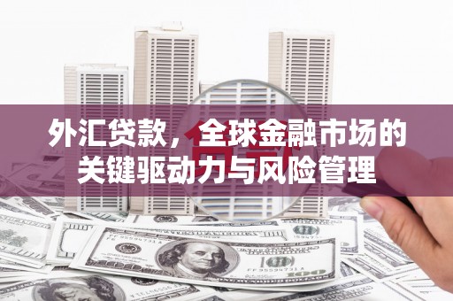 阿巴嘎旗外汇贷款，全球金融市场的关键驱动力与风险管理